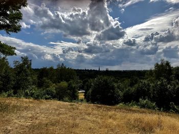 Scenic view of field against sky