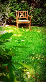 Chair on grass against trees