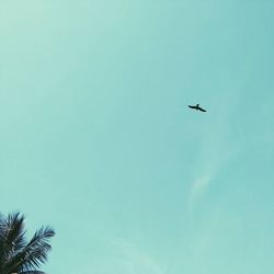 Low angle view of airplane flying against blue sky
