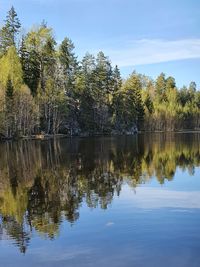 Reflection of trees in lake against sky