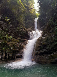 Scenic view of waterfall in forest