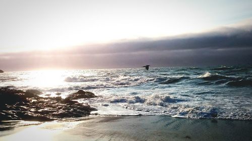 Scenic view of sea at sunset