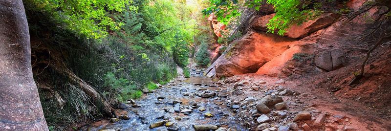 Kanarraville falls views  hiking trail waterfall kanarra creek canyon zion national park, utah, usa.