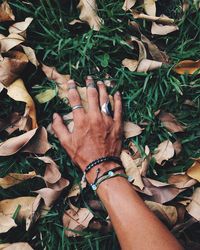 High angle view of dry leaves on field