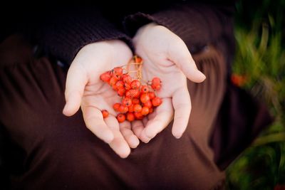 High angle view of hand holding strawberries