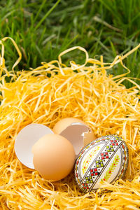 Easter eggs on nest