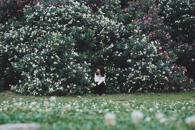 Man sitting on field by trees