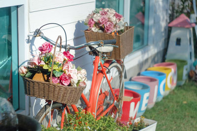 Potted plants in basket by flower shop