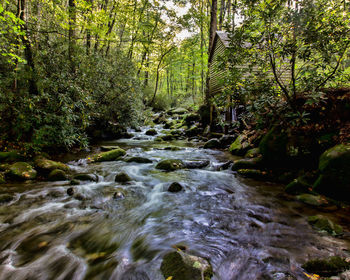 Stream flowing through rocks in forest