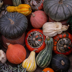 Full frame shot of pumpkins for sale at market stall