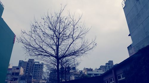 Low angle view of buildings against sky