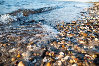 Surface level of pebble beach