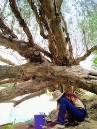 Man sitting on tree trunk