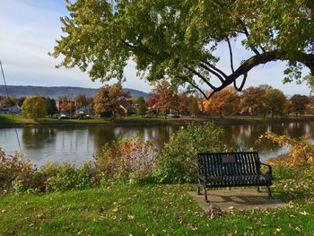 Calm lake with trees in background