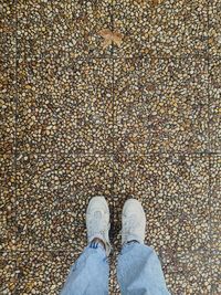 Low section of man standing on cobblestone street