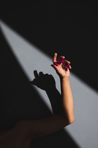 Cropped hand of woman holding flower