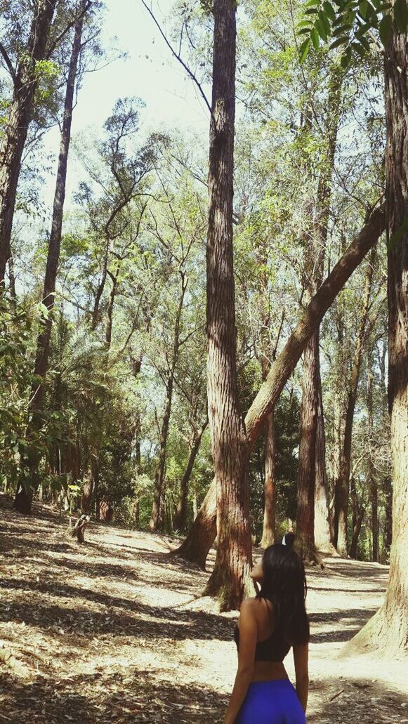 tree, tree trunk, lifestyles, growth, leisure activity, forest, nature, branch, men, person, tranquility, rear view, the way forward, sunlight, day, walking, beauty in nature, outdoors