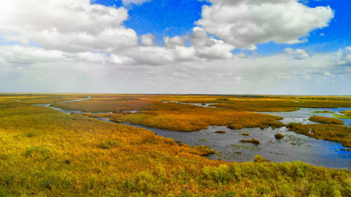 Scenic view of field against sky