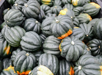 Full frame shot of pumpkins for sale