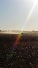 Scenic view of field against clear sky