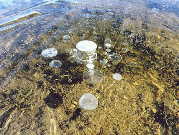 Close-up of shallow water in sand