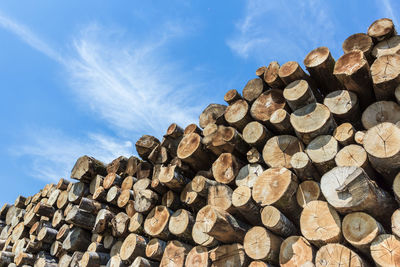 Stack of logs against sky