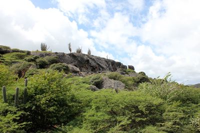 Scenic view of green landscape against sky