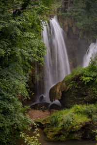 Scenic view of waterfall in forest