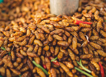 Food stall selling fried silkworm