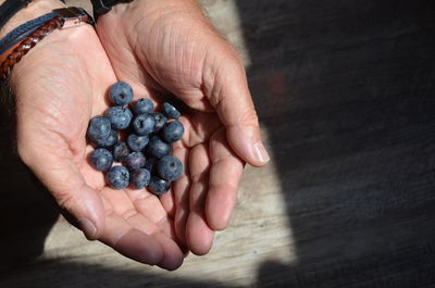 High angle view of person holding berries