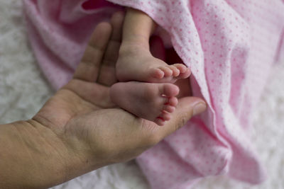 Cropped image of human hand holding baby legs