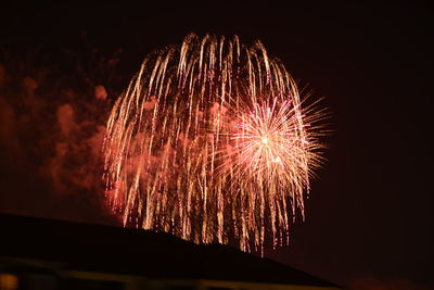 Fireworks exploding in night sky