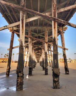 Low angle view of bridge at beach