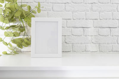 Potted plant on white wall