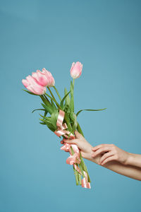 Cropped hand of woman holding flower against clear sky