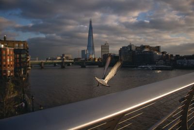 Bird flying over river against cloudy sky