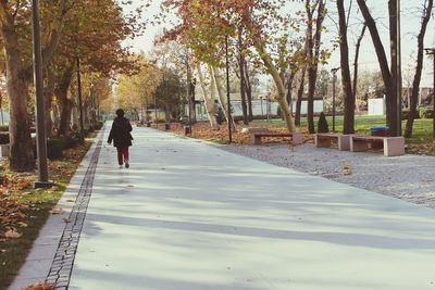 Rear view of man walking on road amidst trees