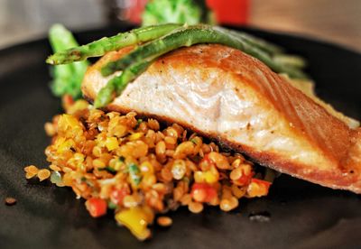 Gluten free salmon meal on bed of lentils with green vegetables 