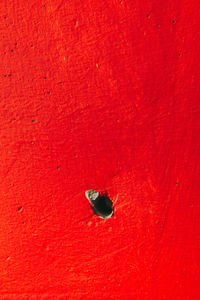 High angle view of insect on red land