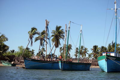 Boats moored at harbor