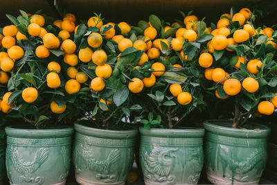 Close-up of fruits for sale at market stall