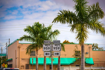 Low angle view of text on palm tree against sky