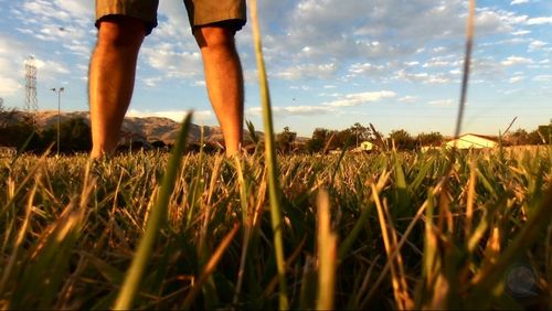 Grassy field against sky