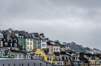 Birds flying over houses against sky