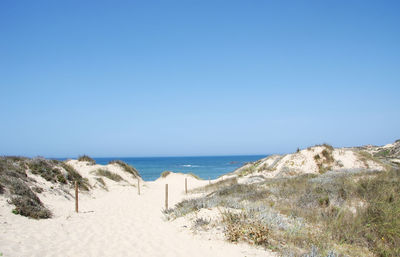 Scenic view of beach against clear sky