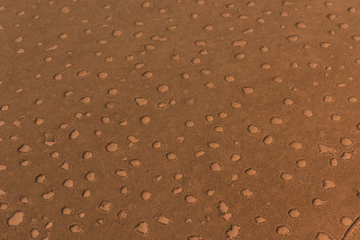 Close up of textured surface