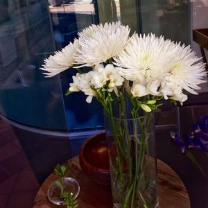 Close-up of white flowers in vase