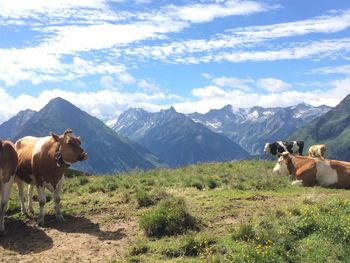 Horses on mountain against sky