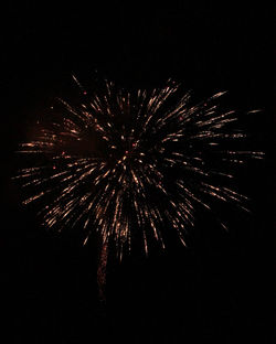 Low angle view of firework display