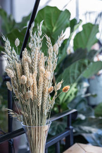 Close-up of flowering plant